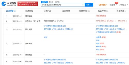 软件服务 定义、优势与未来展望